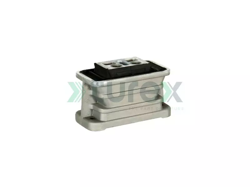 Engine Mounting Rear