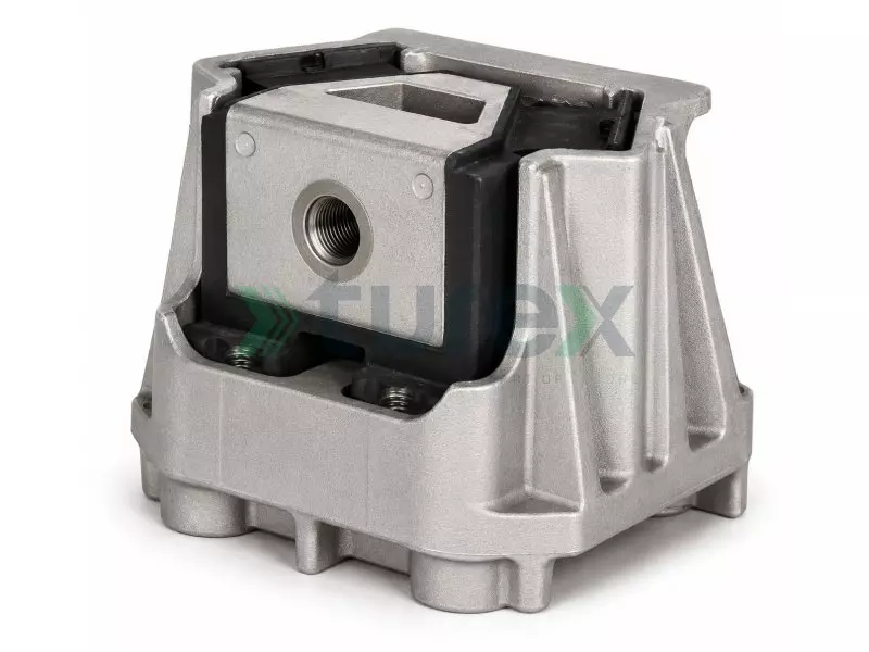 Engine Mounting Rear