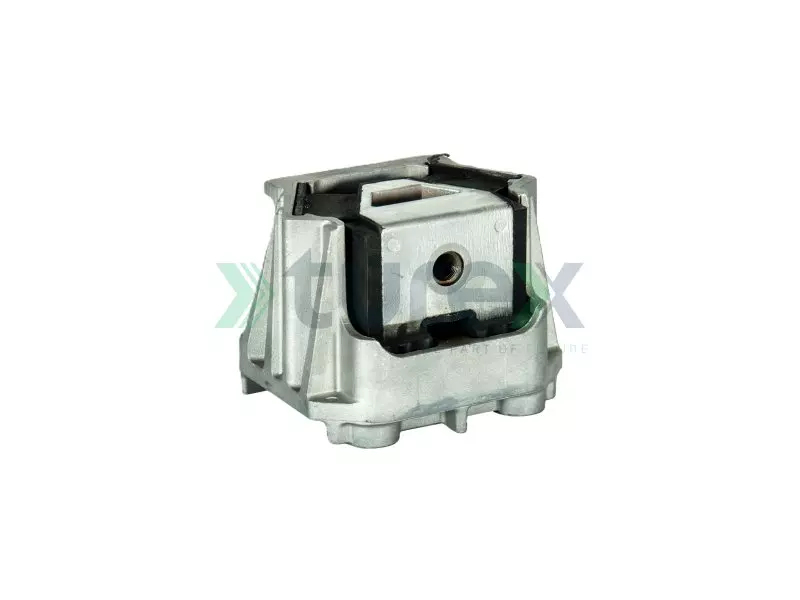 Engine Mounting Rear