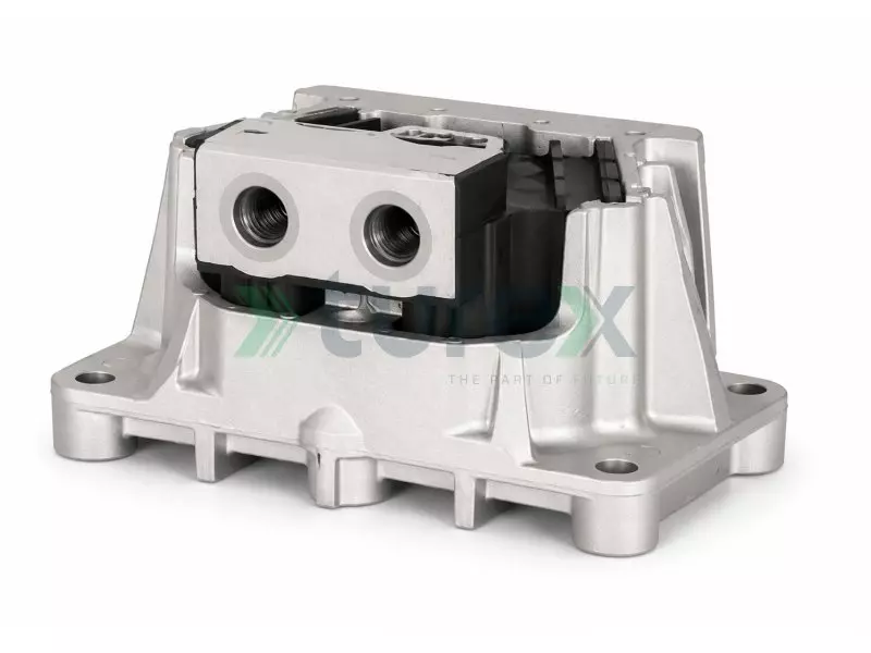 Engine Mounting
