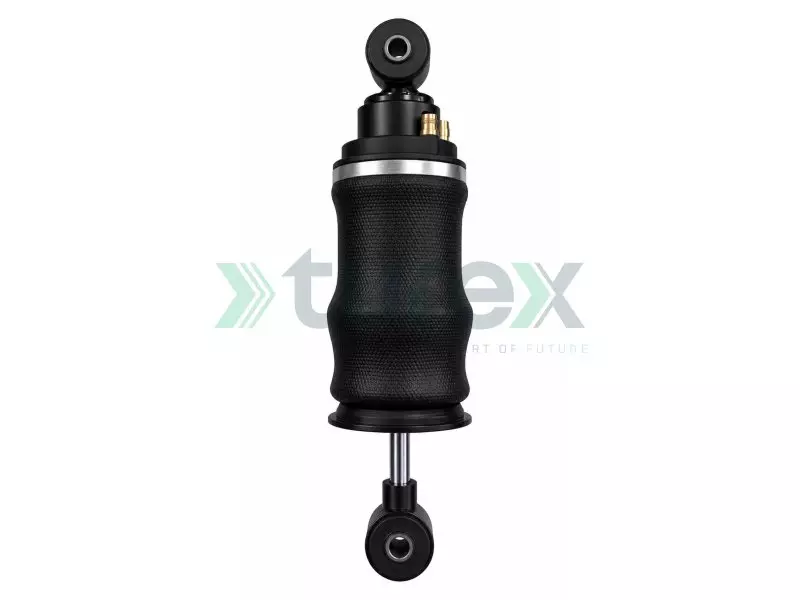 Cab Air Spring - Rear For Ford F-Max Highliner 2018