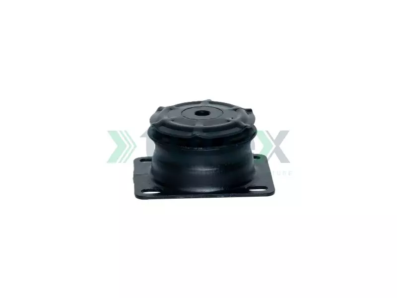 Engine Mounting