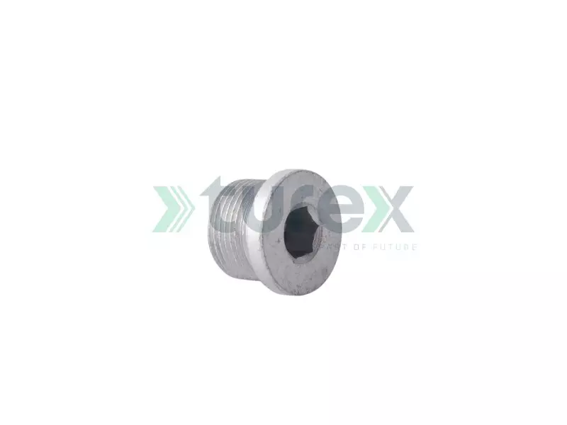 Crankcase Plug