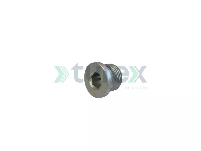 Crankcase Plug