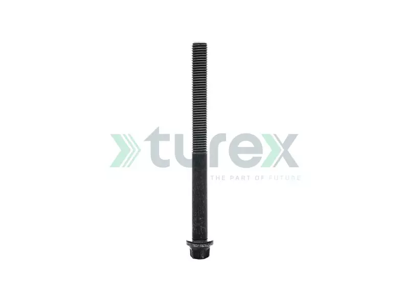 Cylinder Head Bolt (Long, 168 mm) Man 19.422, 19.423