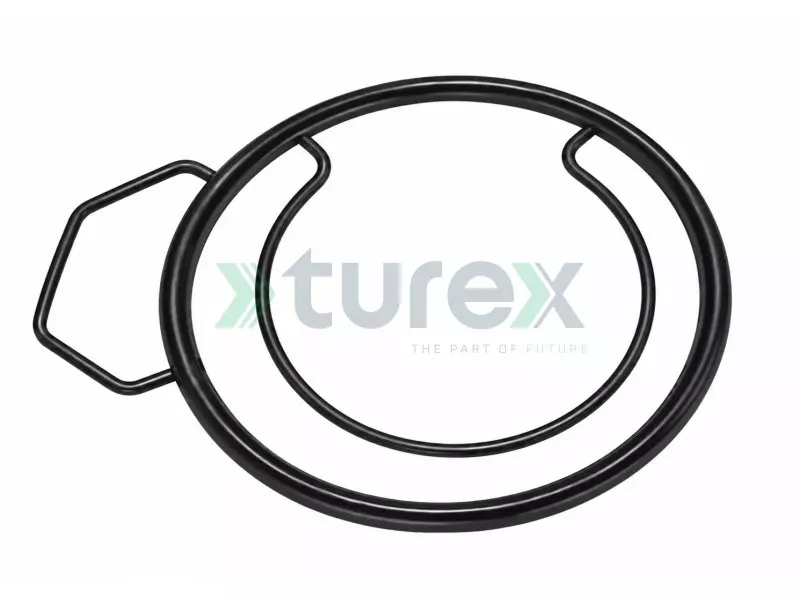 Gasket, Crankcase Ventilation
