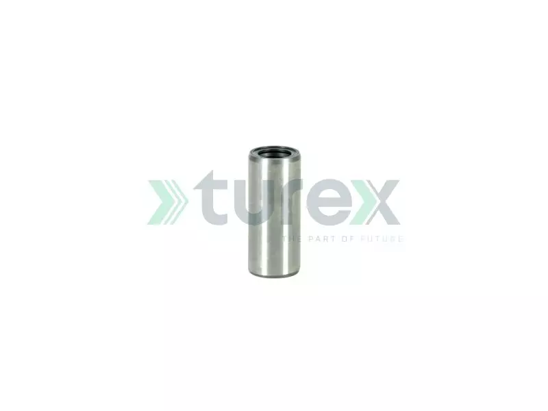 Spring Bushing (Front)