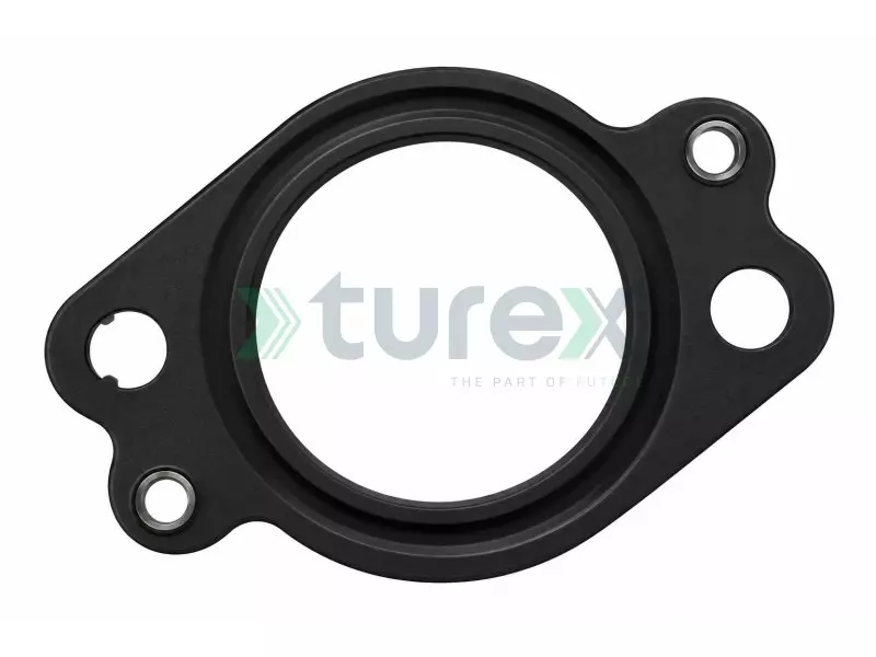 Exhaust Manifold Gasket