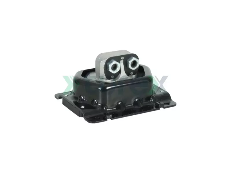 Engine Mounting Rear
