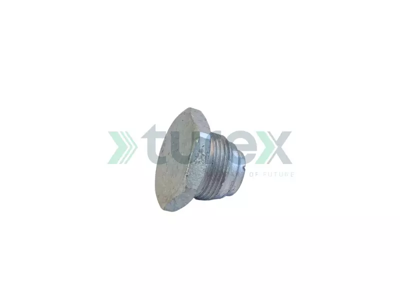 Oil Pan Plug (With Washer)