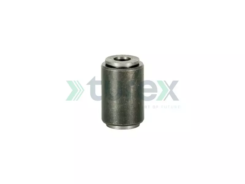 Spring Bushing (Front)