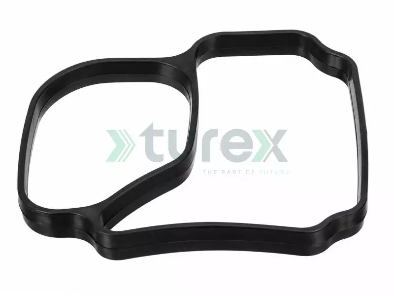 Gasket, thermostat housing