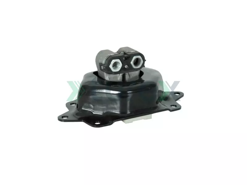 Engine Mounting Rear