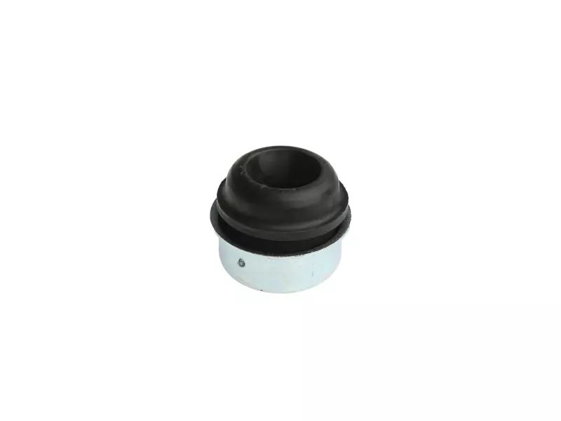 HUB CARRIER BUSHING (RIGHT-LEFT)