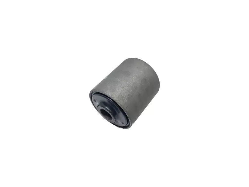 REAR SPRING BUSHING (BIG)