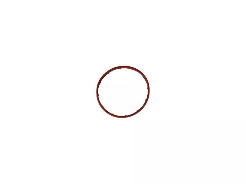 VACUUM PUMP SEAL