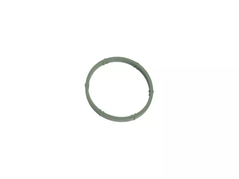 MANIFOLD SEAL