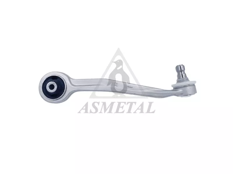 Track Control Arm Upper Right (Without Fasteners)