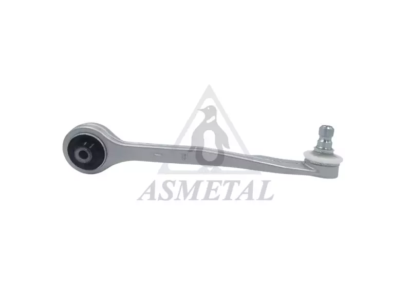 Track Control Arm Right (Without Fasteners)