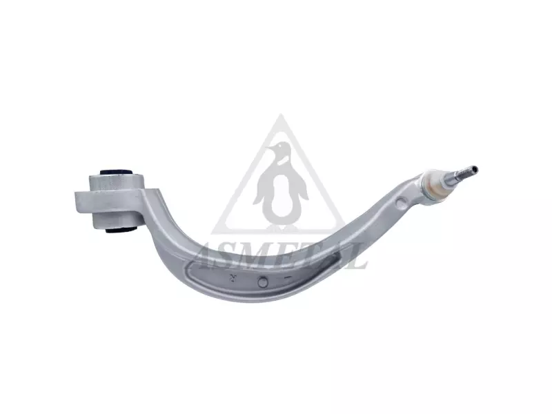 Track Control Arm Right (Without Fasteners)