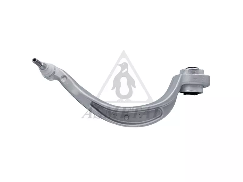 Track Control Arm Lower Left (Without Fasteners)