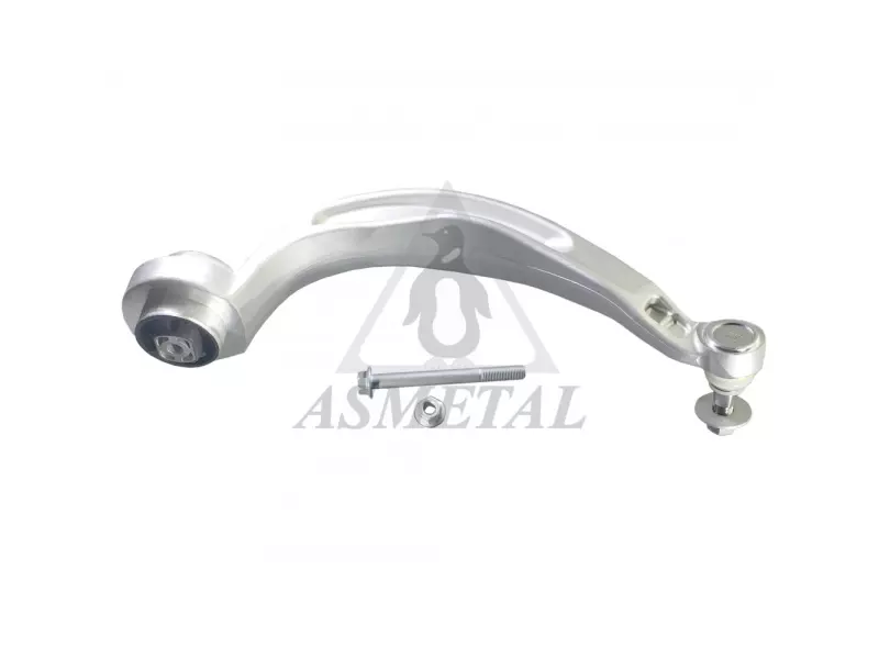 Track Control Arm Lower Right
