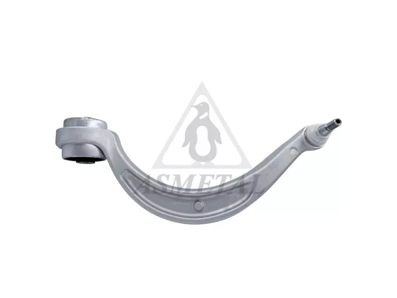 Track Control Arm Lower Right (Without Fasteners)