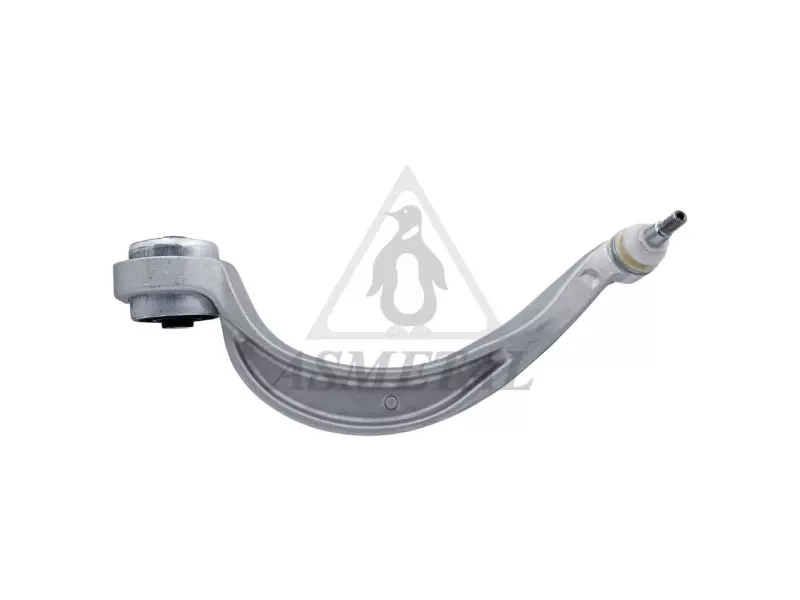 Track Control Arm Lower Right (Without Fasteners)