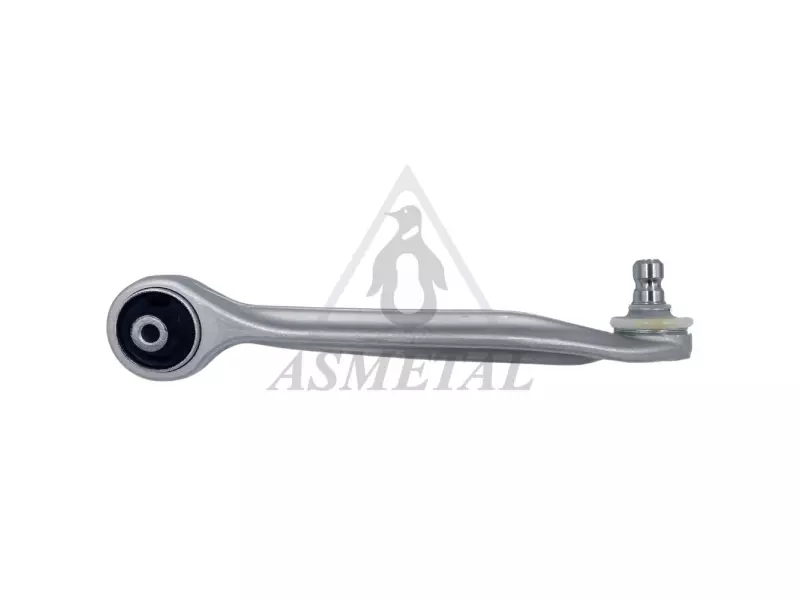 Track Control Arm Right (Without Fasteners)