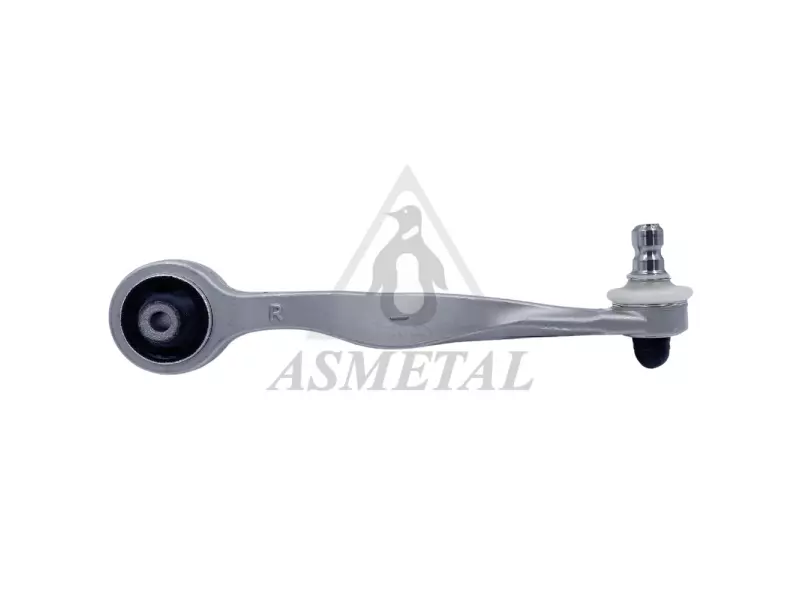 Track Control Arm Right (Without Fasteners)