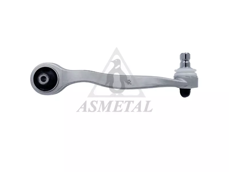 Track Control Arm Right (Without Fasteners)