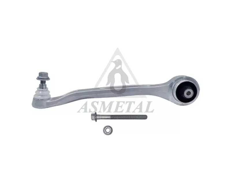 Track Control Arm Lower Left
