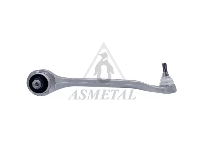Track Control Arm Lower Right (Without Fasteners)