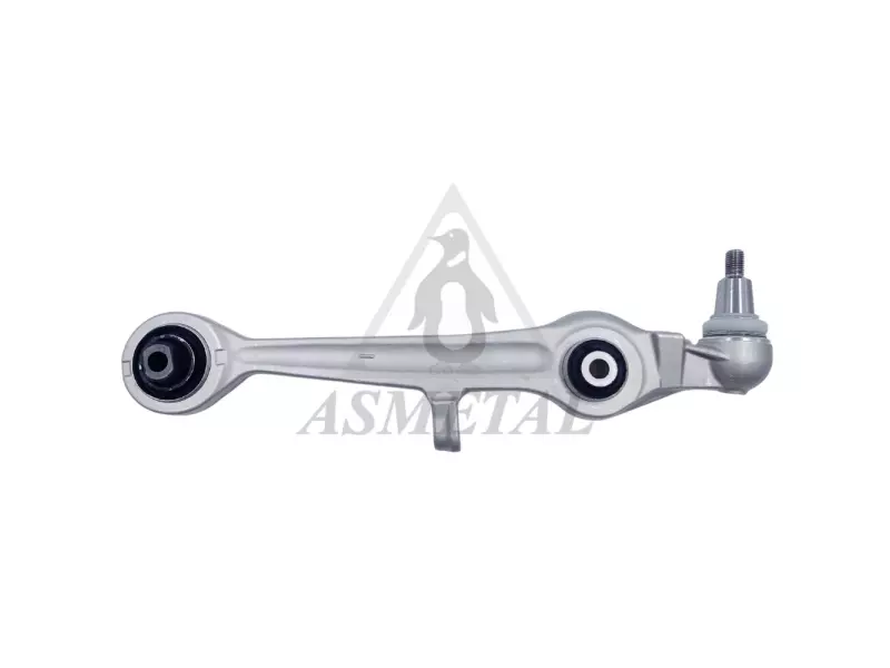 Track Control Arm (Without Fasteners)