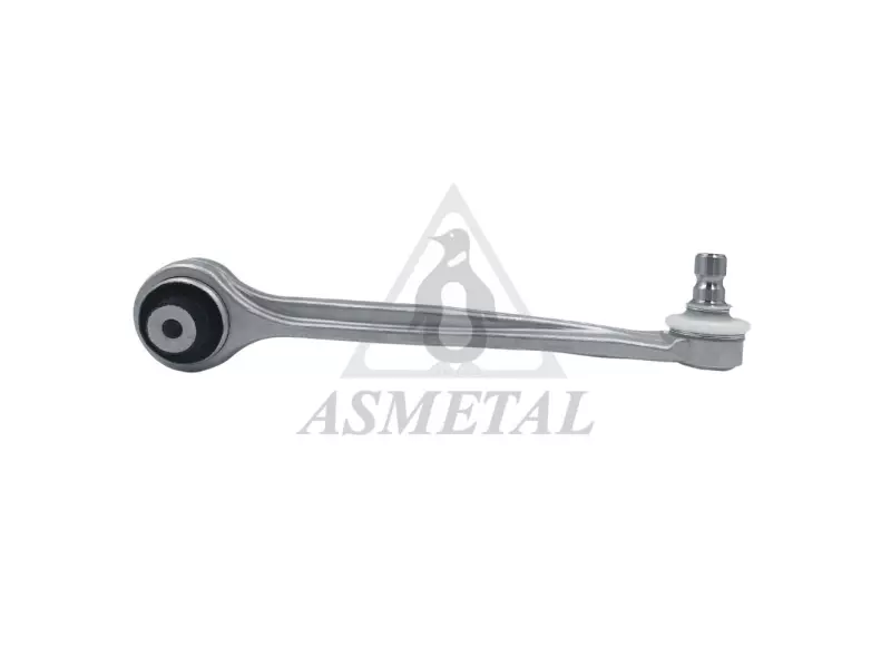 Track Control Arm Right (Without Fasteners)