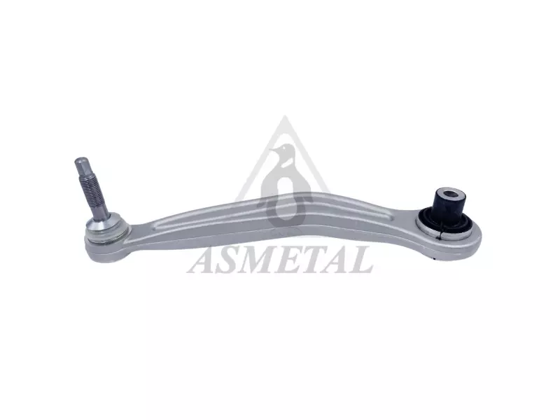 Track Control Arm Rear Left (Without Fasteners)