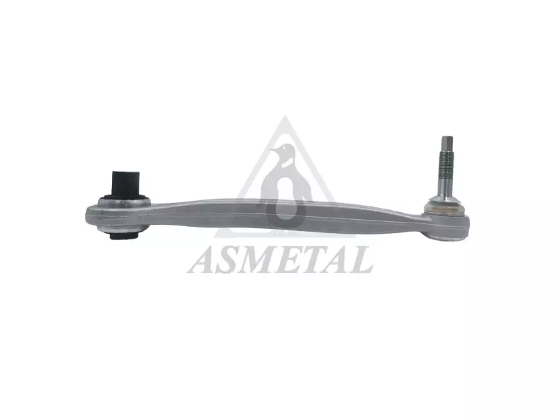 Track Control Arm Rear Right (Without Fasteners)