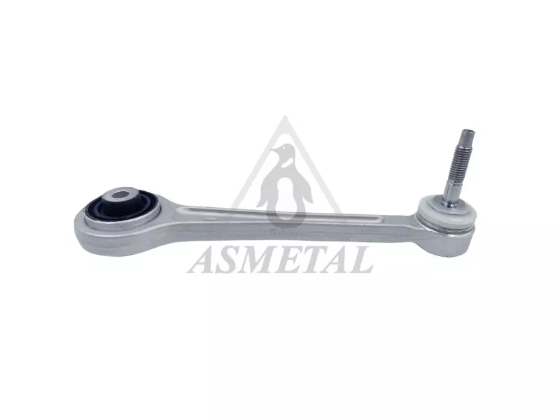 Track Control Arm Rear (Without Fasteners)