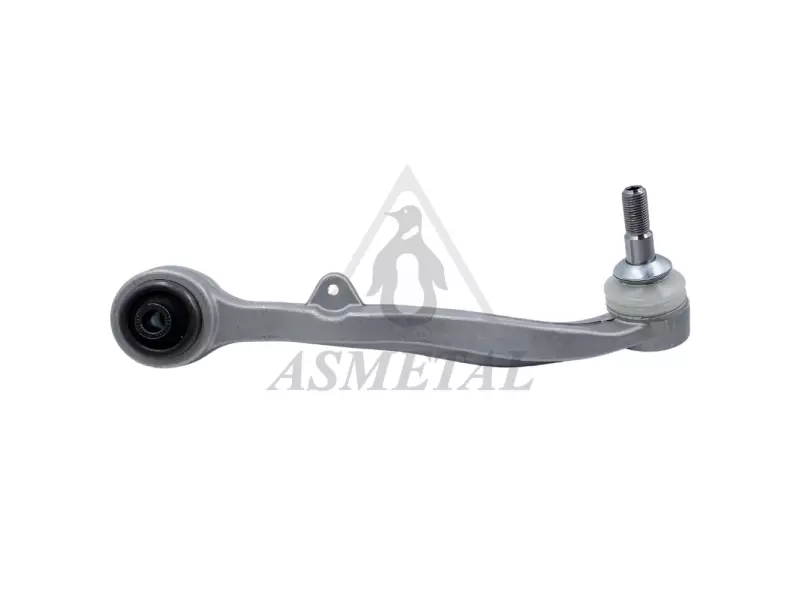 Track Control Arm Lower Right (Without Fasteners)