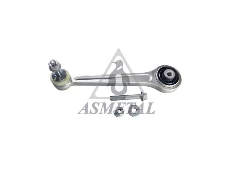 Track Control Arm Rear