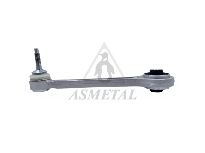 Track Control Arm Rear (Without Fasteners)