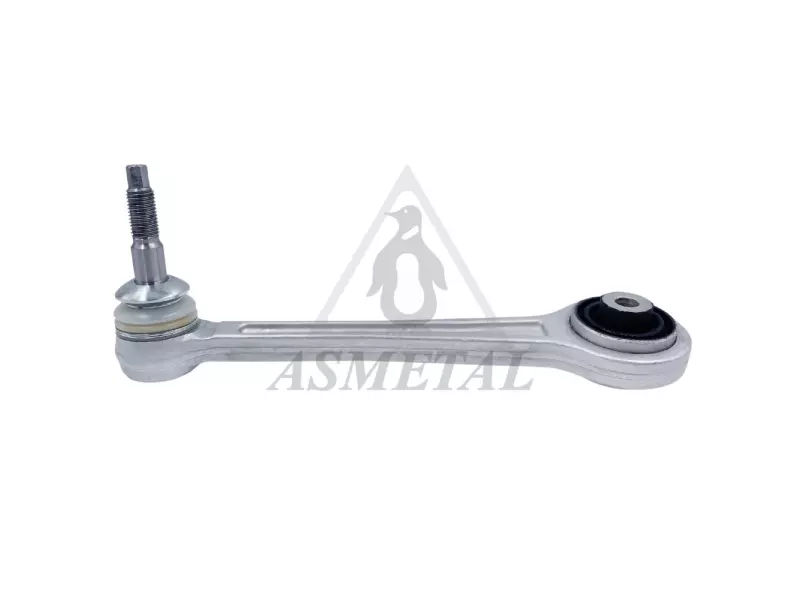 Track Control Arm Rear Left (Without Fasteners)
