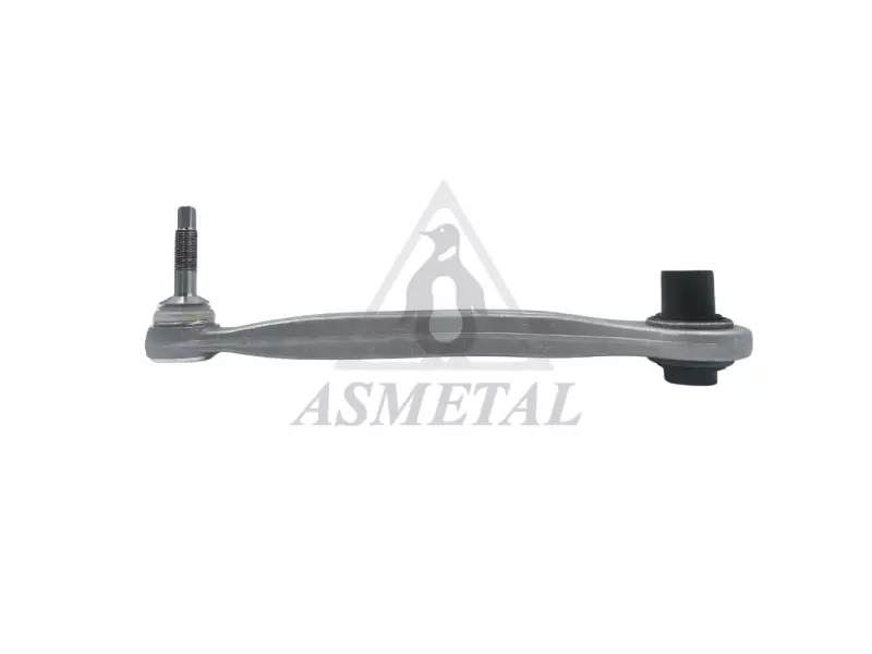 Track Control Arm Rear Left (Without Fasteners)