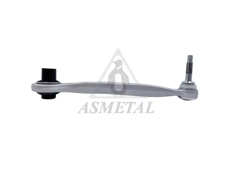 Track Control Arm Rear Right (Without Fasteners)