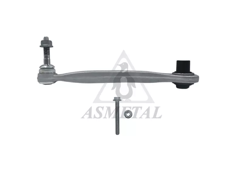 Track Control Arm Rear Left