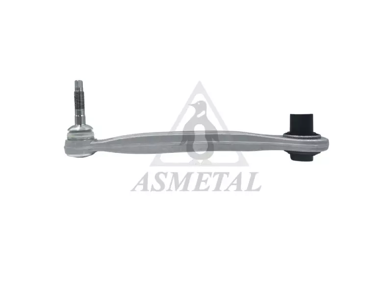 Track Control Arm Rear Left (Without Fasteners)