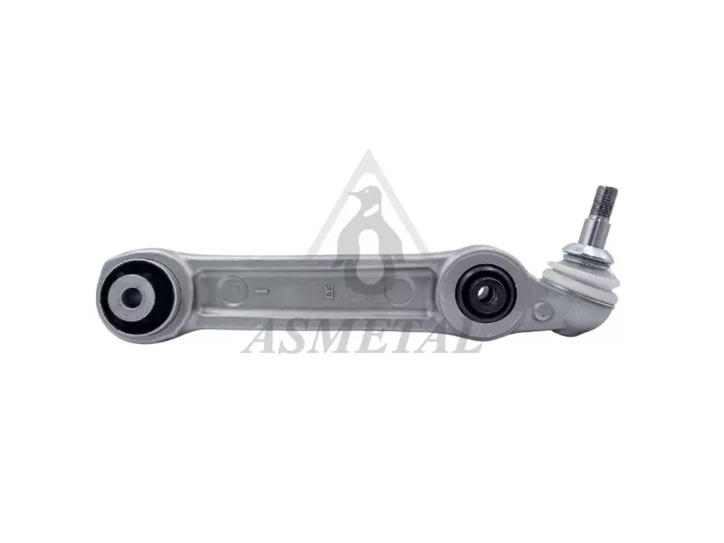Track Control Arm Lower Right (Without Fasteners)