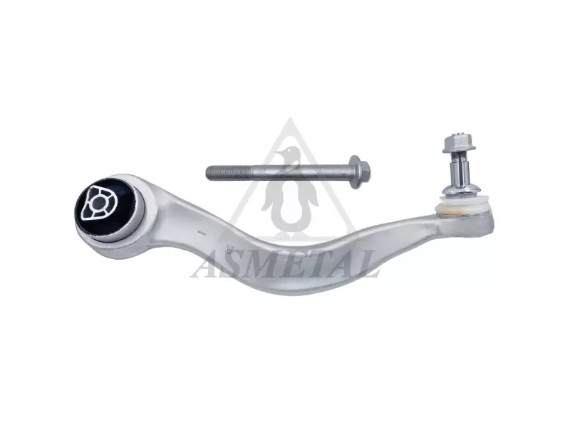 Track Control Arm Lower Right