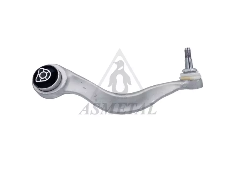 Track Control Arm Lower Right (Without Fasteners)