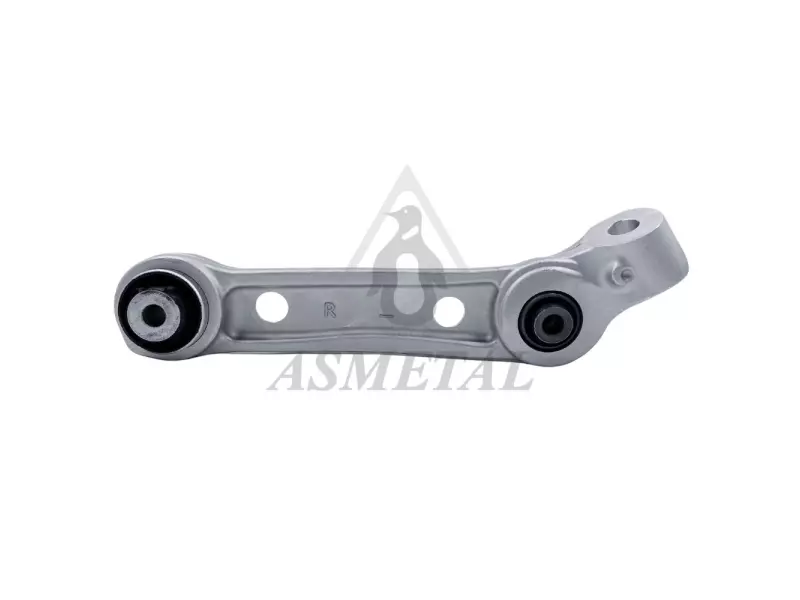 Track Control Arm Lower Right (Without Fasteners)